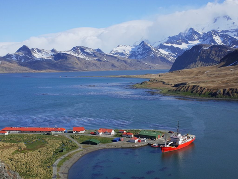 King Edward Point landscape